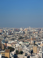 Fototapeta na wymiar 展望台から見た東京の街並み