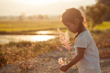 Child asian little girl collect grass flower in the meadow 