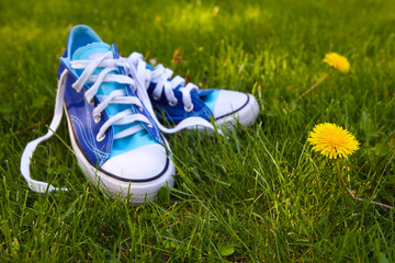 Blue sneakers outside in the grass. Focus on dandelion.