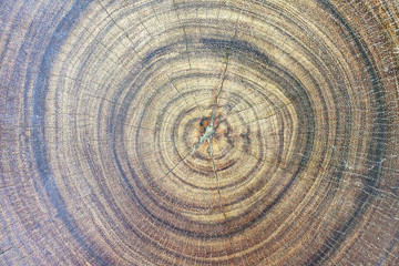 Fototapeta premium wood texture background 