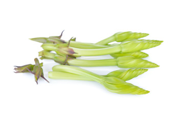 Fototapeta premium moonflower, edible flower on white background