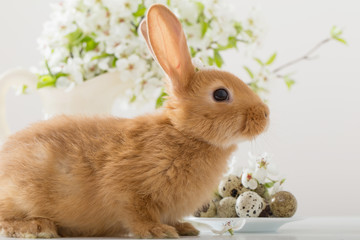 little rabbit with spring flowers and Easter eggs