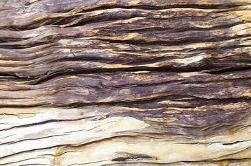 Vintage wood Old surface Wood texture Natural background Nature Design Interior