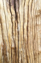 Vintage wood Old surface Wood texture Natural background Nature Design Interior