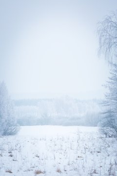 Fototapeta Polish winter landscape
