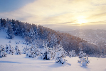 Winter sunset snow field on top of mountain on the background of taiga forest and hills