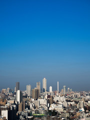 Fototapeta premium 池袋の高層ビル街