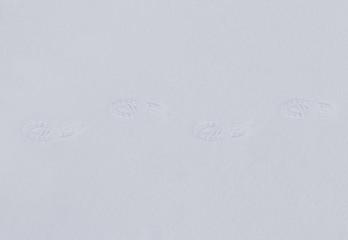 Footprints in the snow.
Traces of human imprinted on a snowy track. Seamless image.