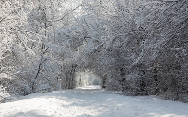 winter alley