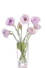 bunch of pale violet eustoma flowers in glass vase