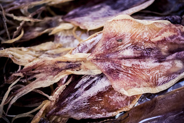 Dried Squid