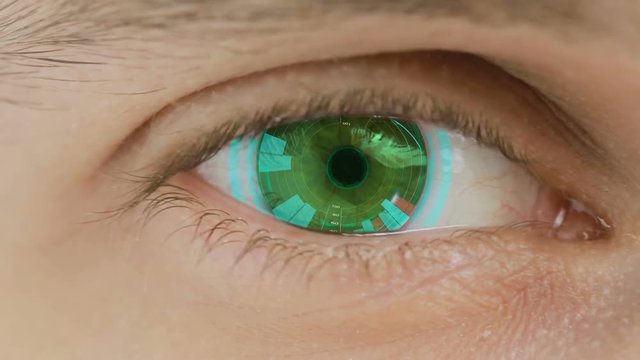 Close-up of eye with computer data and text overlayed. Zoom in centr. charts