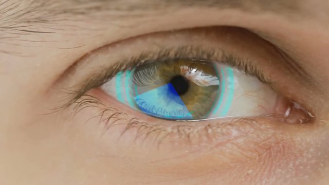 Close-up of eye with computer data and text overlayed. Zoom in centr. charts