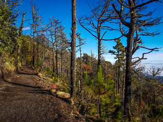 Trekking trail of  Acatenango volcano ,Guatemala