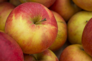Fototapeta na wymiar Red and yellow apples closeup