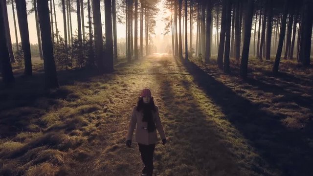 Deeper into the woods - girl walking into dark forest
