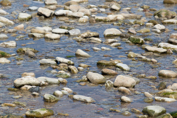 Stones in water on the seashore