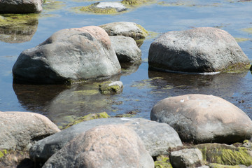 Naklejka na ściany i meble Stones in water on the seashore