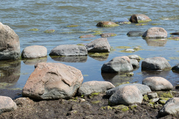 Fototapeta na wymiar Stones in water on the seashore