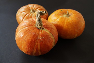 small orange pumpkin on a black background