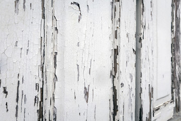 Wood texture with old white painted