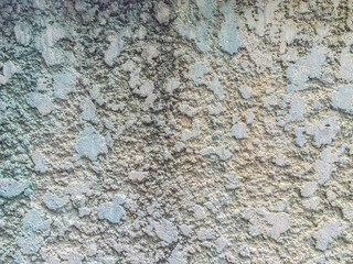 Close-up old brick wall with moss and lichen. Green moss growing on old brick wall. Moss usually grows among trees or damp wall areas.