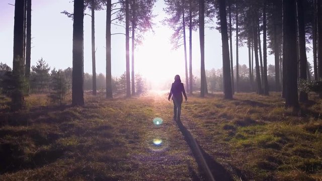 End of forest - woman walking out of evergreen woods
