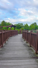 Fototapeta na wymiar wooden walk route in the park