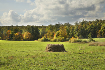 Landscape near Yasnaya Polyana - Bright Glade homestead. Tula oblast. Russia