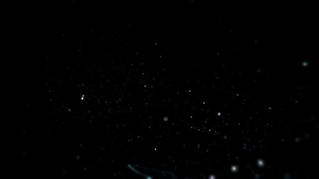 Shattering Glass In Slow Motion