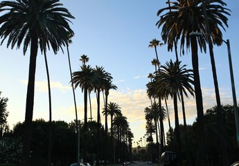 Los Angeles, Beverly Hills