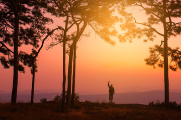 Silhouette of Happy hiker with raised hands in pine forest with