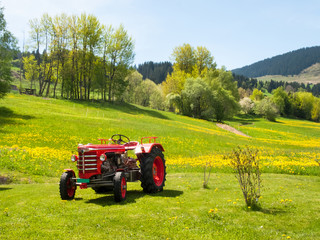 Fototapeta premium Antique tractor