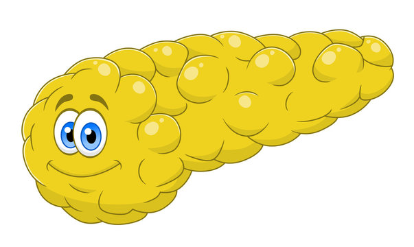 Cartoon pancreas