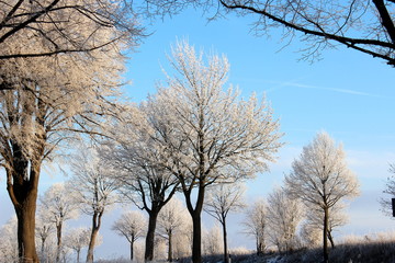 Wintertag