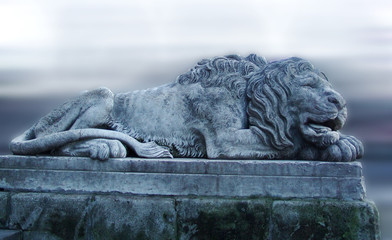 lion, sculpture, art, stone, animal, statue, monument, marble, symbol, king, palace, male, leo, beast, old, detail, architecture, carnivore, biology, wild, decoration, cat, up, aggressive, zoology, de