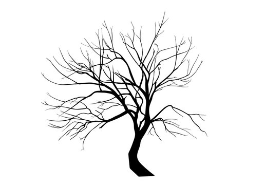 Verkrüppelter Baum