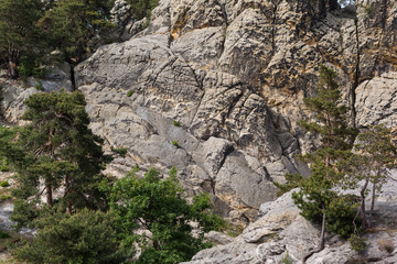 Teufelsmauer bei Blankenburg im Harz