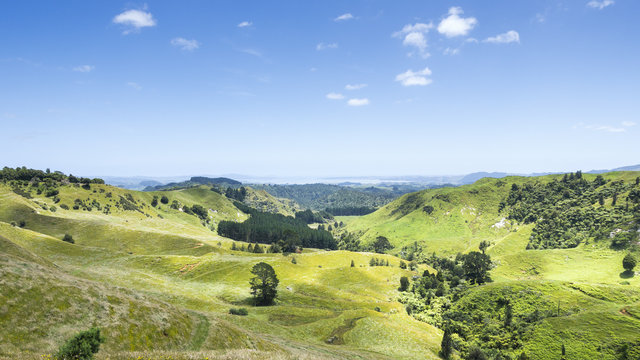 landscape Matamata