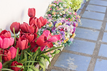 Naklejka premium Tulip. Beautiful bouquet of tulips. colorful tulips. tulips in s