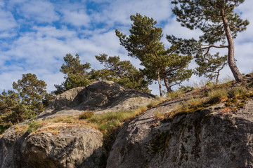Teufelsmauer bei Blankenburg im Harz