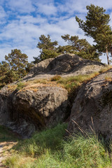 Fototapeta na wymiar Teufelsmauer bei Blankenburg im Harz