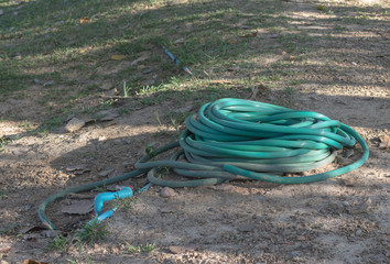 Rubber tube for watering plants in the garden.