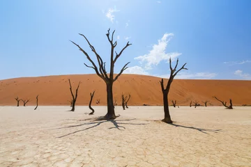 Foto auf Acrylglas The desert landscape   © SB