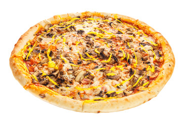 Delicious classic italian Pizza with spicy chicken, mushrooms and cheese.