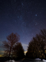 Obraz na płótnie Canvas Winter the starry sky above the trees.
