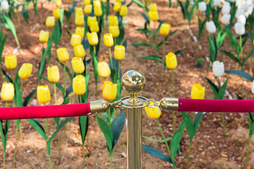 prohibit to access, flower field with protect line.