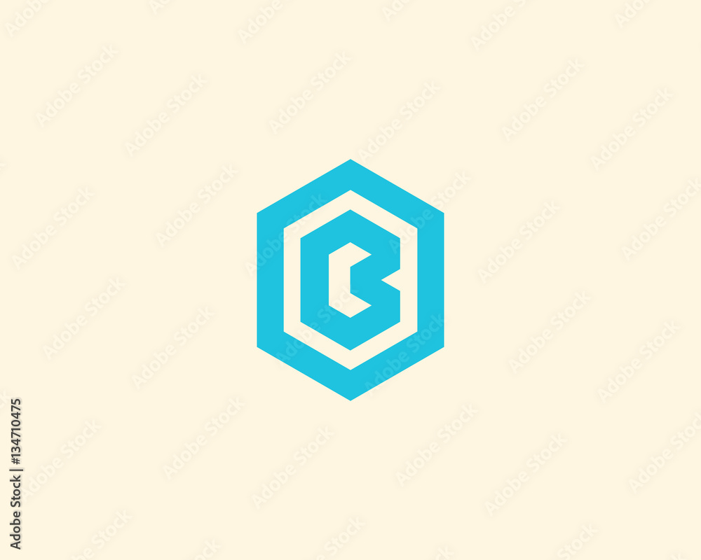 Poster abstract letter b vector logotype. line hexagon creative simple logo design template. universal geom