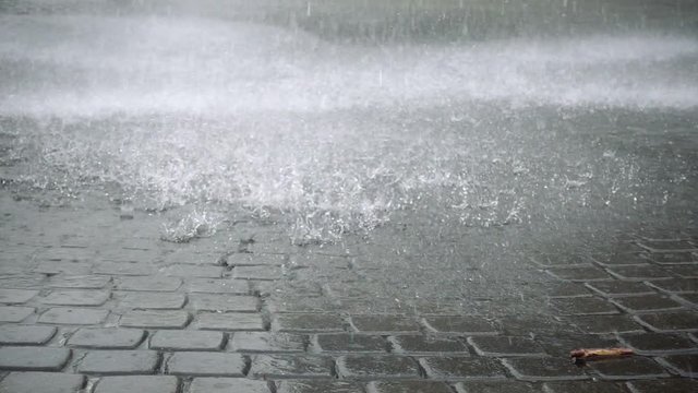 Rain shower, close-up of raindrops falling on pavement stones and making splashes. Clear and pure water drops splattering on ground. Slow motion. Camera stays still.
