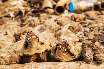 Akodessewa Fetish Market, the Voodoo Superstore
